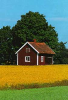 Falunrot - Die Häuserfarbe Schwedens